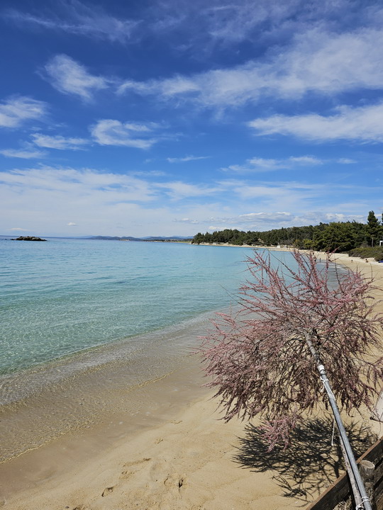  KalogriabeachSithonia 